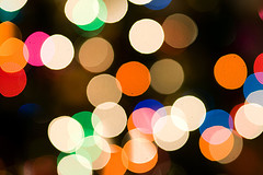 340917929_804e7c6540_m.jpg