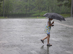 rain2.jpg