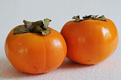 5092619745_88f21a0c0d_m.jpg